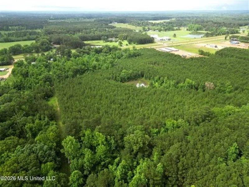Land for Sale in Brookhaven, MS : Brookhaven : Lincoln County : Mississippi