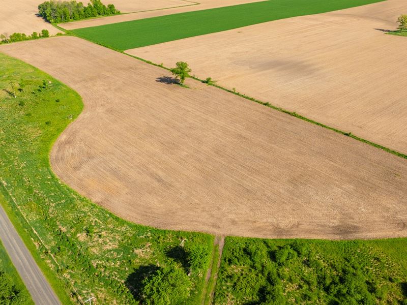 16.15 Acres Clark County : Stanley : Clark County : Wisconsin