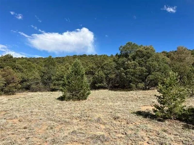 96 River Ridge Ranch, Walsenburg : Walsenburg : Huerfano County : Colorado