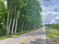 31 Acres, 156 Zion School Ro : Easley : Pickens County : South Carolina