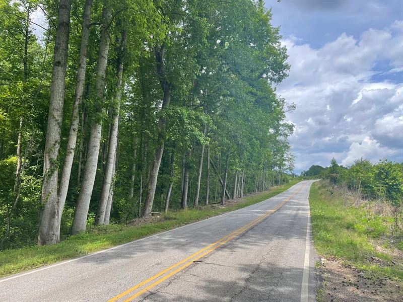 31 Acres, 156 Zion School Ro : Easley : Pickens County : South Carolina
