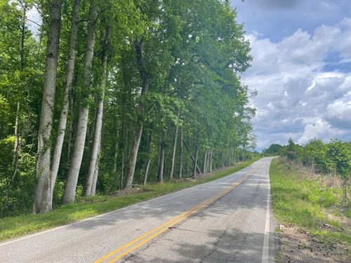 31 Acres, 156 Zion School Ro : Easley : Pickens County : South Carolina