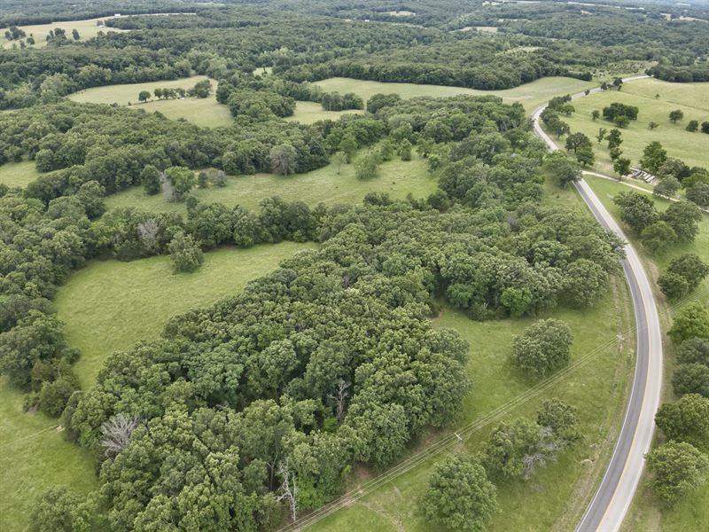 Degenhardt 50 : Meta : Maries County : Missouri