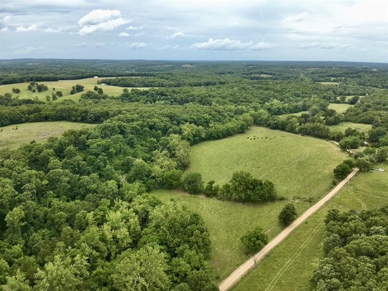 Degenhardt 150 : Meta : Maries County : Missouri
