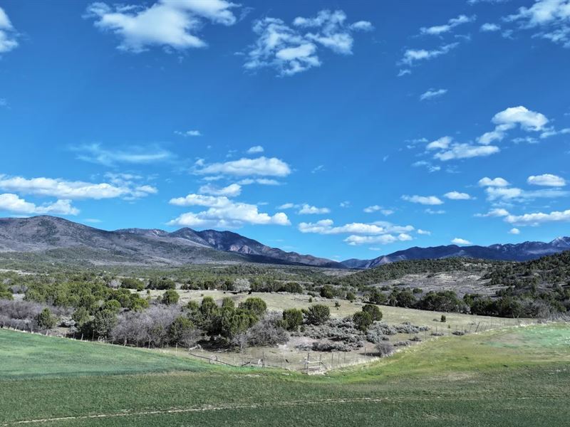 North Canyon Ranch : Fillmore : Millard County : Utah