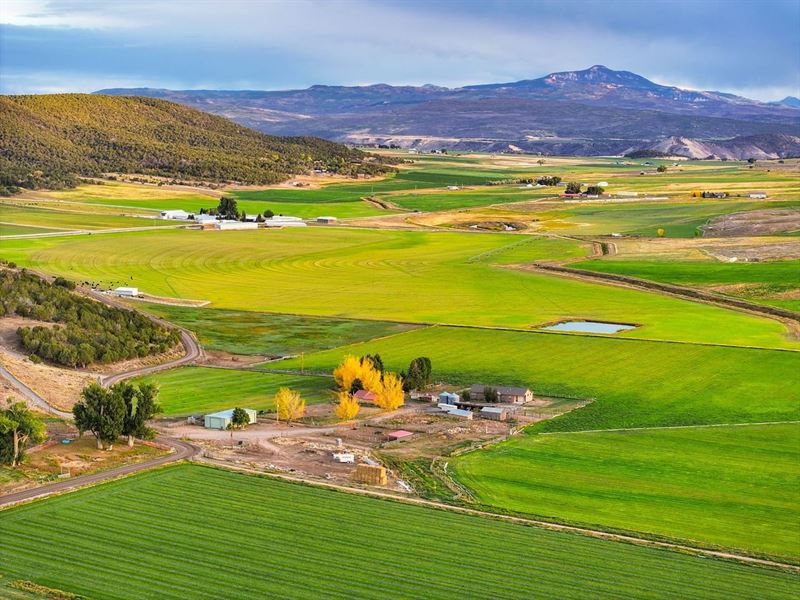 Elk Ridge Ranch, Bostwick Park Hor : Montrose : Montrose County : Colorado
