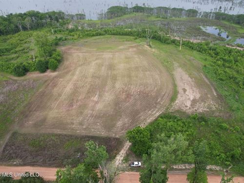 88 Acre Hunting Property, Wilkinso : Woodville : Wilkinson County : Mississippi