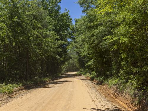The Reynolds Place : Macon : Twiggs County : Georgia