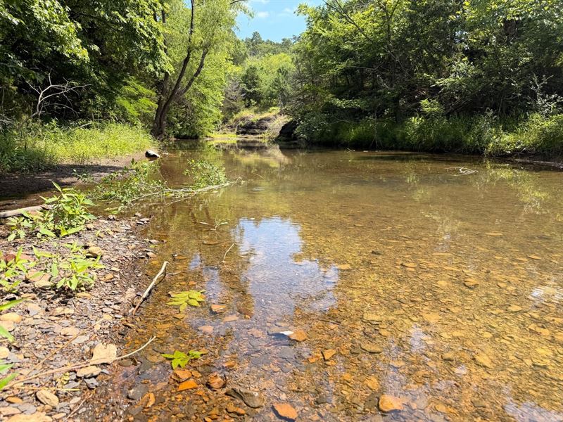 50 Acres Timber Tract, Creek : Booneville : Logan County : Arkansas