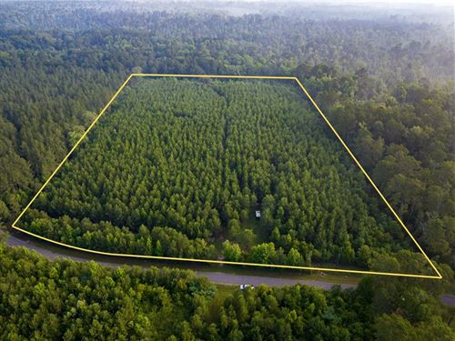 15 Acres, T-1, Dido Loop, Louisi : Pitkin : Vernon Parish : Louisiana