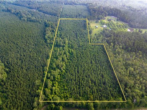 25 Acres, T-2, Dido Loop, Louisi : Pitkin : Vernon Parish : Louisiana