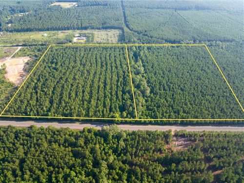 48 Acres, T-6, Highway 10, Louis : Pitkin : Vernon Parish : Louisiana