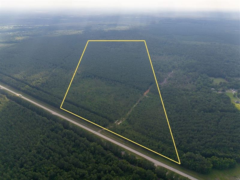 96 Acres, Highway 165, Louisiana : Kinder : Allen Parish : Louisiana
