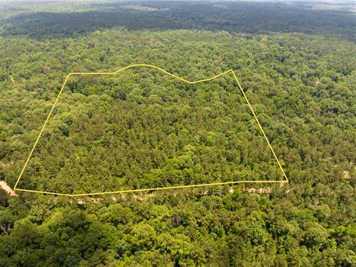60 Acres, T-1, Posey Webb Camp Rd : Jonesville : Catahoula Parish : Louisiana
