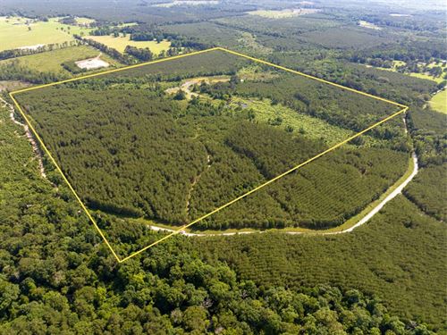 160 Acres, Ferguson Road, Louisia : Coushatta : Red River Parish : Louisiana