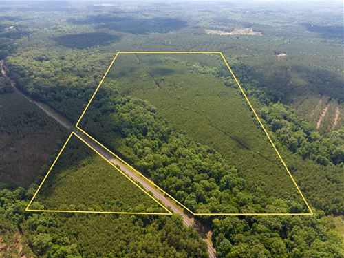 78 Acres, Highway 126, Louisiana : Olla : Lasalle Parish : Louisiana