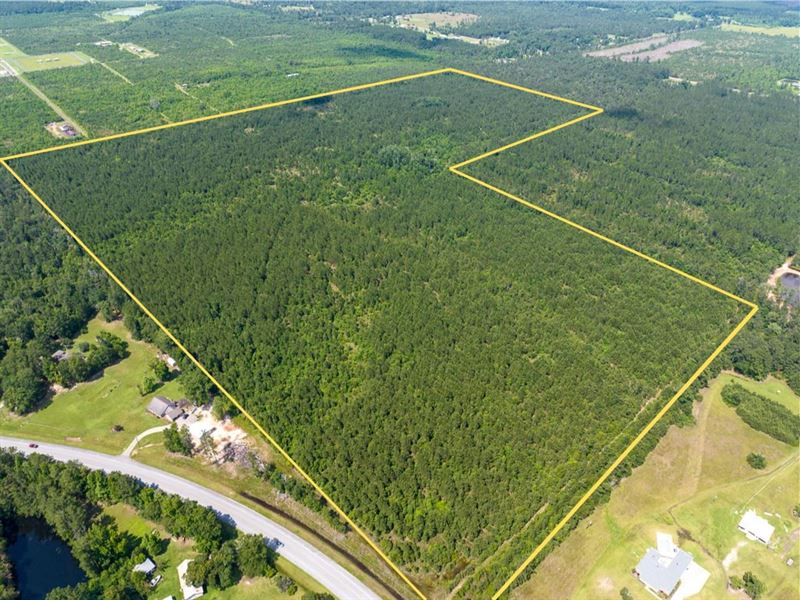 129 Acres, Highway 27, Louisiana : Dequincy : Calcasieu Parish : Louisiana