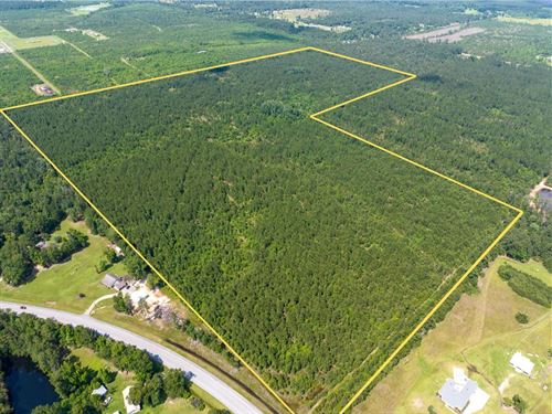 129 Acres, Highway 27, Louisiana : Dequincy : Calcasieu Parish : Louisiana
