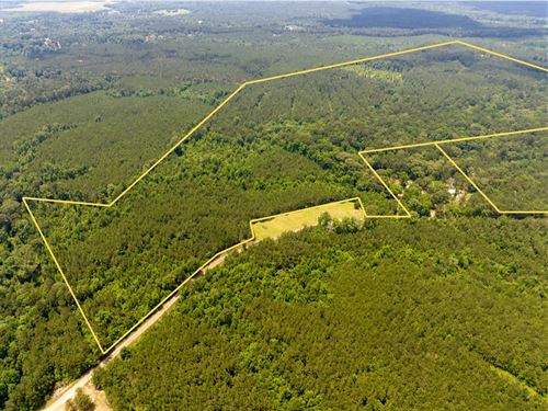 93 Acres, T-1, Blade Loop Road : Jena : Lasalle Parish : Louisiana