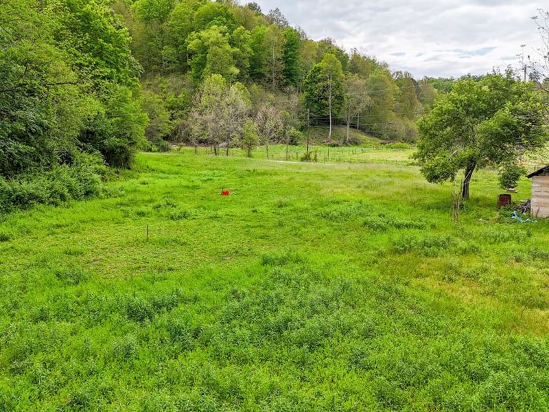 91.58 Acres, Bee Hollow Rd, Gree : Greenup : Greenup County : Kentucky
