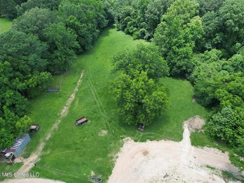 44 Acre Hunting Land in Wilkinson : Woodville : Wilkinson County : Mississippi