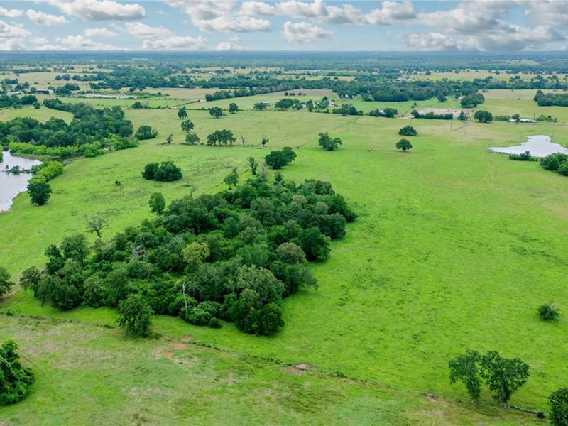 21.72 Unrestricted Acres in Iola : Iola : Grimes County : Texas