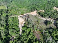 Big Springs : Banks : Pike County : Alabama