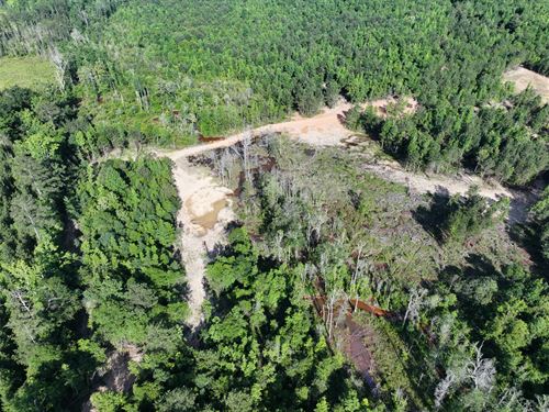 Big Springs : Banks : Pike County : Alabama
