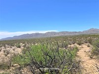 Buildable Texas No HOA to Camp & RV : Texas City : Hudspeth County : Texas