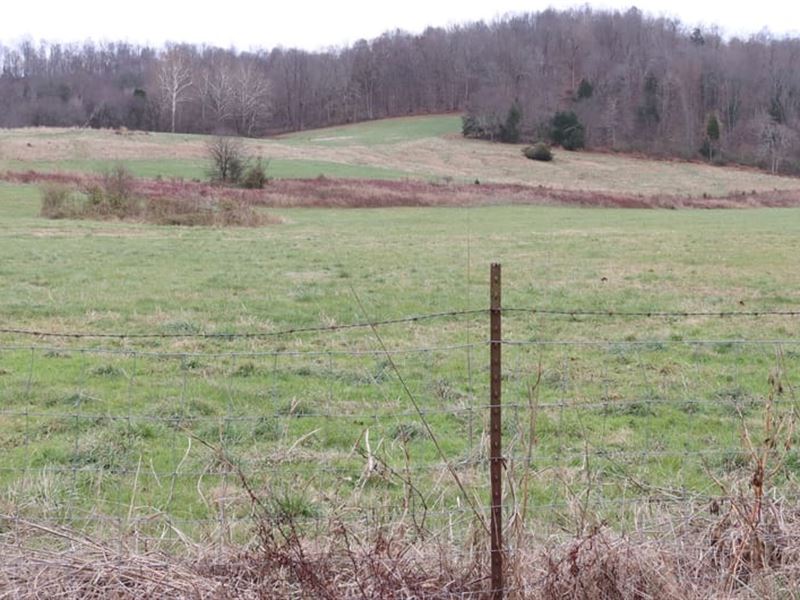 Hunting, Cattle, Farming & Homesite : Horse Cave : Hart County : Kentucky
