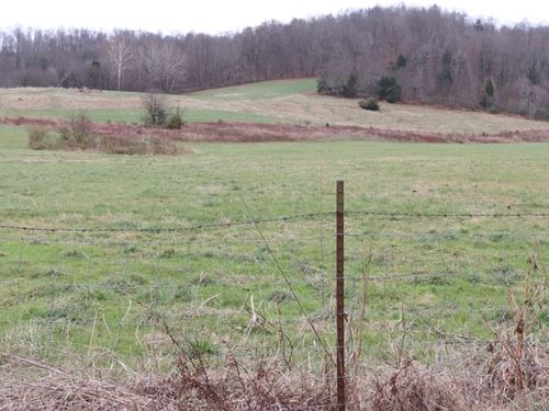 Hunting, Cattle, Farming & Homesite : Horse Cave : Hart County : Kentucky