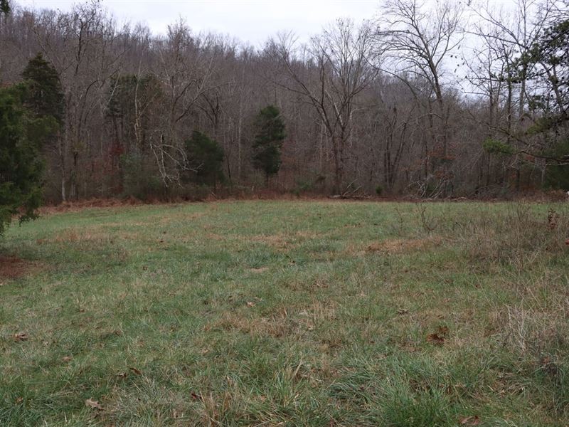 Hunting Homesite & Farmering : Horse Cave : Hart County : Kentucky