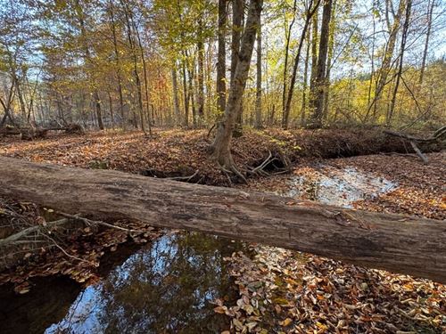 41.9 Acres, Germanys Ferry Road : Daviston : Tallapoosa County : Alabama
