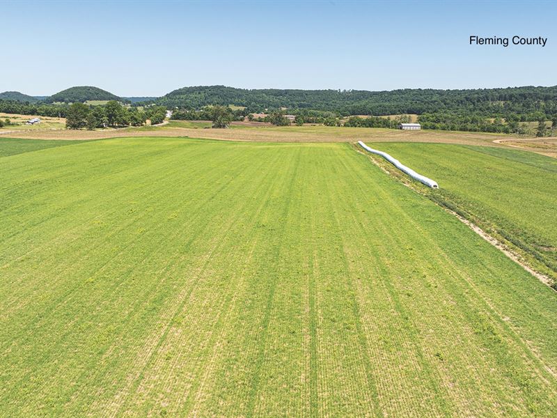 Land for Sale, Fleming County, KY : Hillsboro : Fleming County : Kentucky