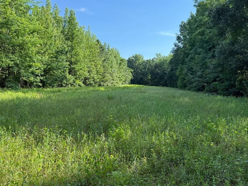 Graham Road 38 : Jacksonville : Pulaski County : Arkansas
