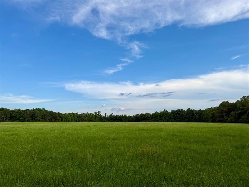 100 Acre Cattle Farm, Kennedy : Kennedy : Fayette County : Alabama