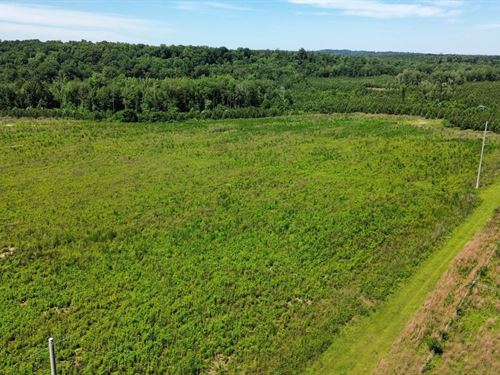 429 Acres Russell County, AL : Fort Mitchell : Russell County : Alabama