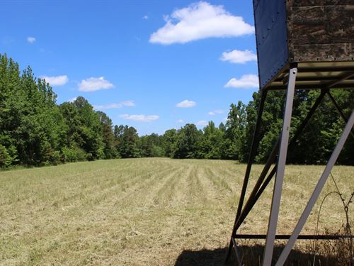 70.46 Acres in Hardeman County, TN : Bolivar : Hardeman County : Tennessee