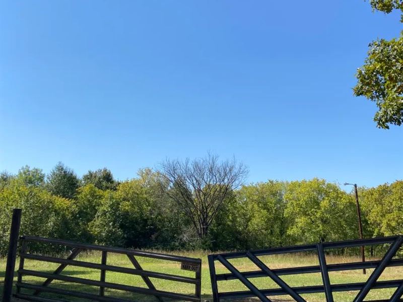 123.5 Acres in Lafayette County, MS : Oxford : Lafayette County : Mississippi