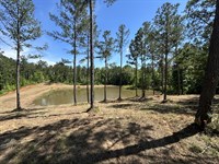 Rural Getaway or Estate Homesite : Milledgeville : Baldwin County : Georgia