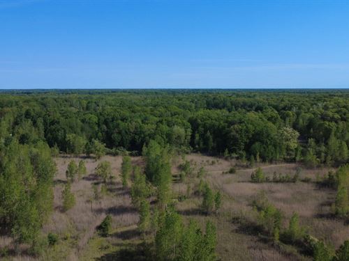 St. Clair County, 39 Acres : Columbus : Saint Clair County : Michigan
