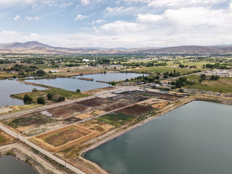 Livestock Market Opportunity : Emmett : Gem County : Idaho