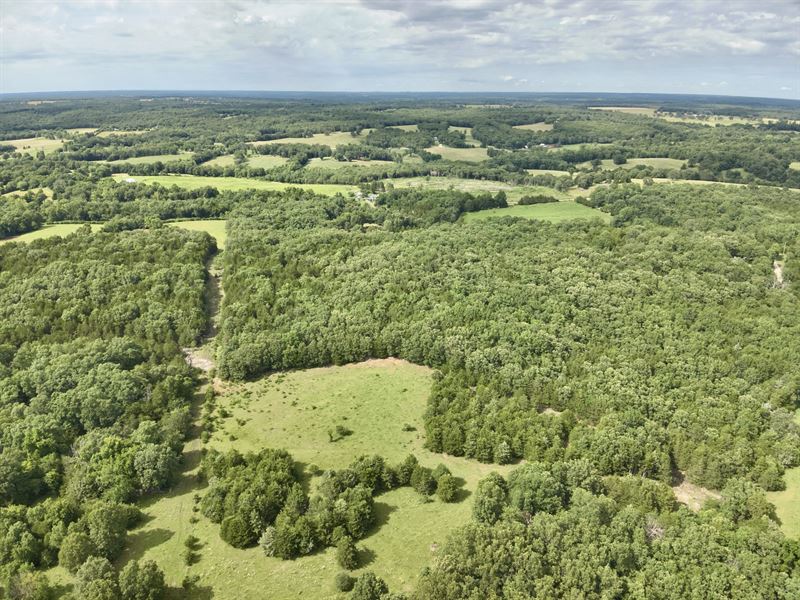 30 Acres in Iberia, Missouri : Iberia : Miller County : Missouri