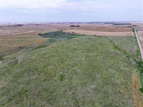 316 Acres, Buffalo County Pasture : Gibbon : Buffalo County : Nebraska