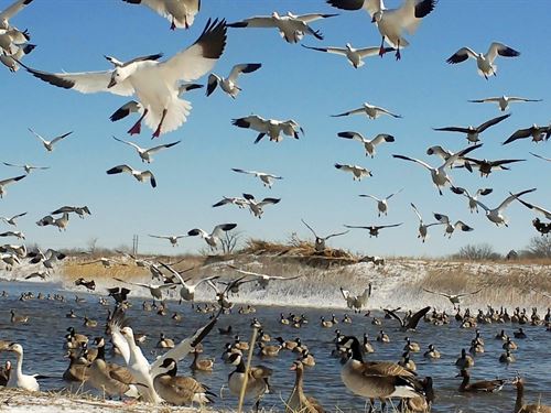60 Acres, Fowl Weather Waterfowl : Lexington : Dawson County : Nebraska