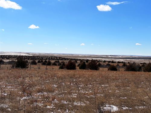 332 Acres, Box Butte County Half : Hemingford : Box Butte County : Nebraska