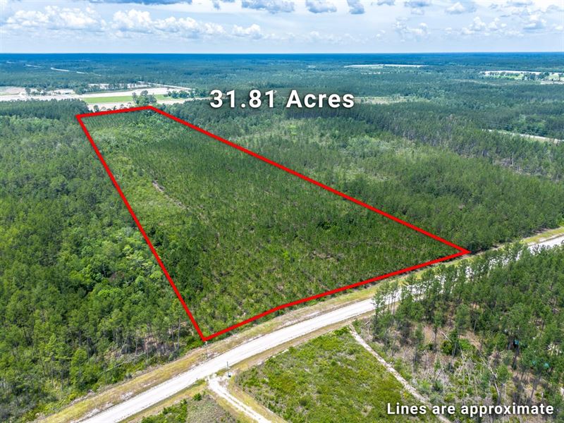 31.81 Acres Recreational Land : Manor : Ware County : Georgia