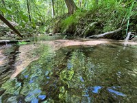 81 Acre Hunting/Recreational Ti : Camp Hill : Chambers County : Alabama
