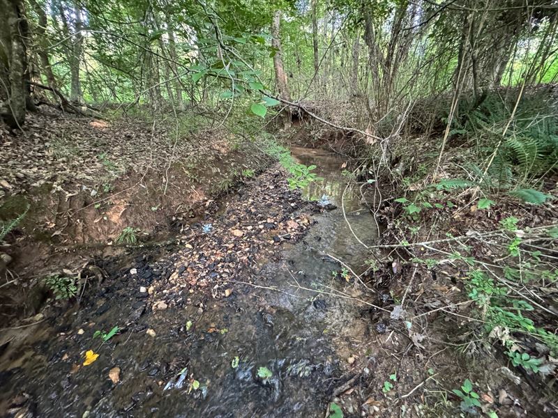 22.76 Ac, Waverly, AL : Camp Hill : Tallapoosa County : Alabama