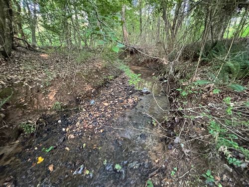 22.76 Ac, Waverly, AL : Camp Hill : Tallapoosa County : Alabama